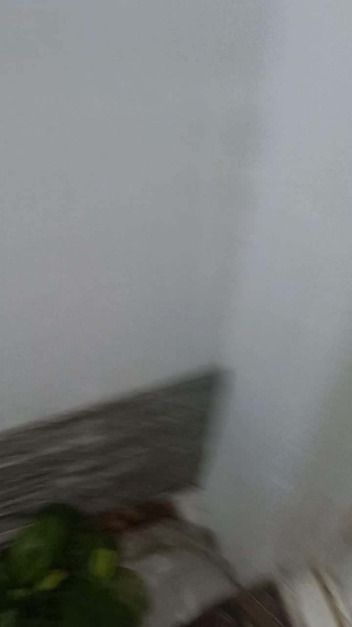 فروش آپارتمان ۵۵ متری ۱خواب جانبازان کوچه ۱۰مرداد|فروش آپارتمان|رشت, جانبازان|دیوار