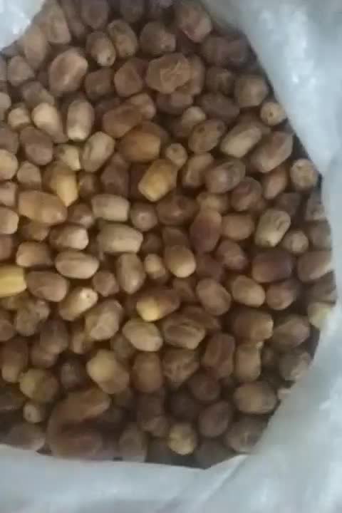 قصب|خوردنی و آشامیدنی|جره و بالاده, |دیوار