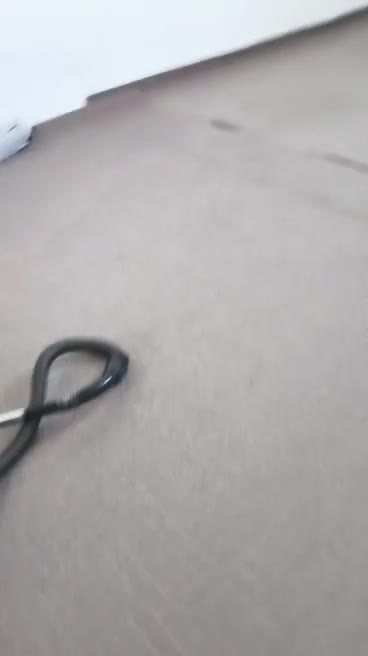 اجاره سوله ۳۰۰متری شهرک صنعتی نوآوران|اجارهٔ دفتر صنعتی، کشاورزی، تجاری|زنجان, |دیوار