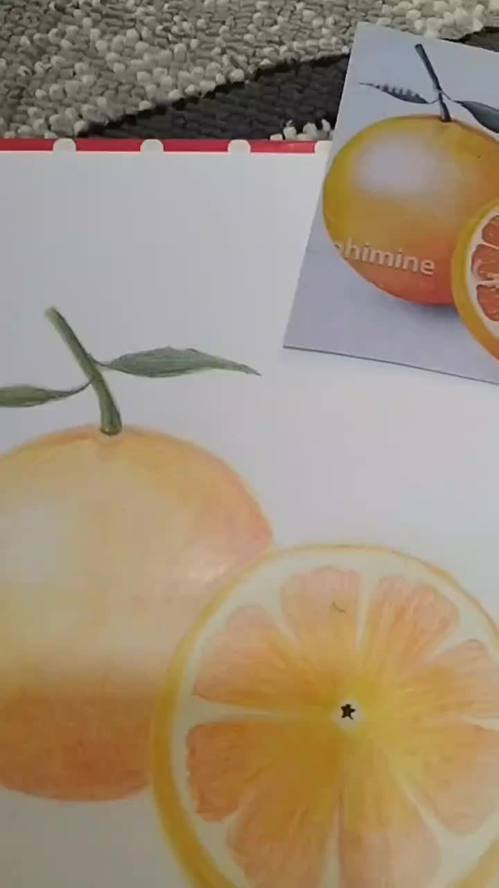 آموزش آنلاین، طراحی و نقاشی کودک و بزرگسال|خدمات آموزشی|سرپل ذهاب, |دیوار