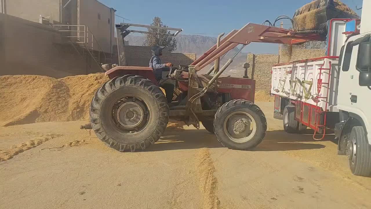 سبوس برنج|عمده‌فروشی|محلات, |دیوار