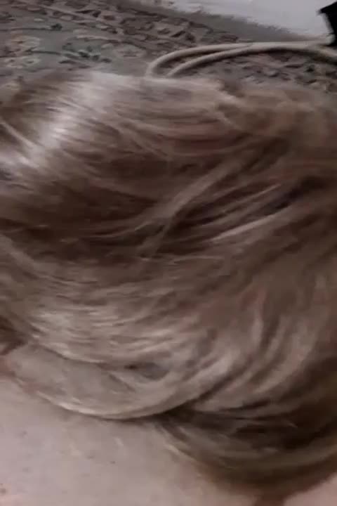 کلاه گیس|آرایشی، بهداشتی، درمانی|کلاچای, |دیوار