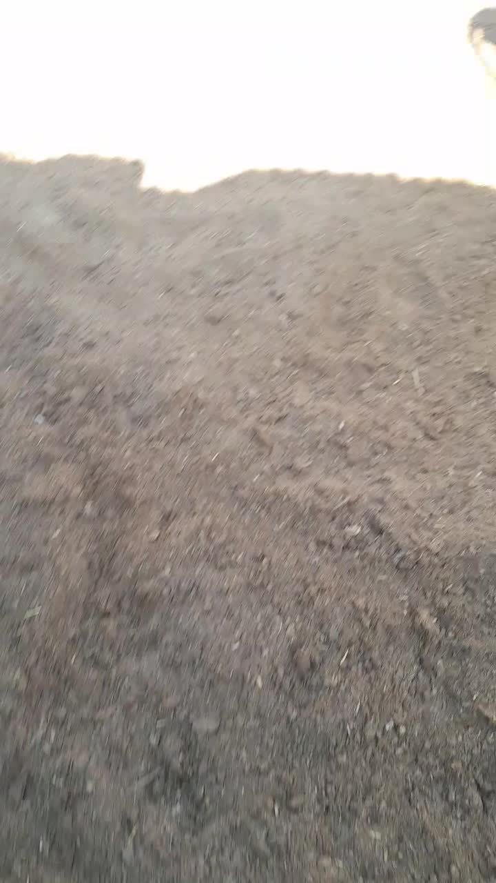 ۲ رس تلیسه ۷ ماه نیم قیمت ۳۳۰|حیوانات مزرعه|مرودشت, تخت جمشید|دیوار