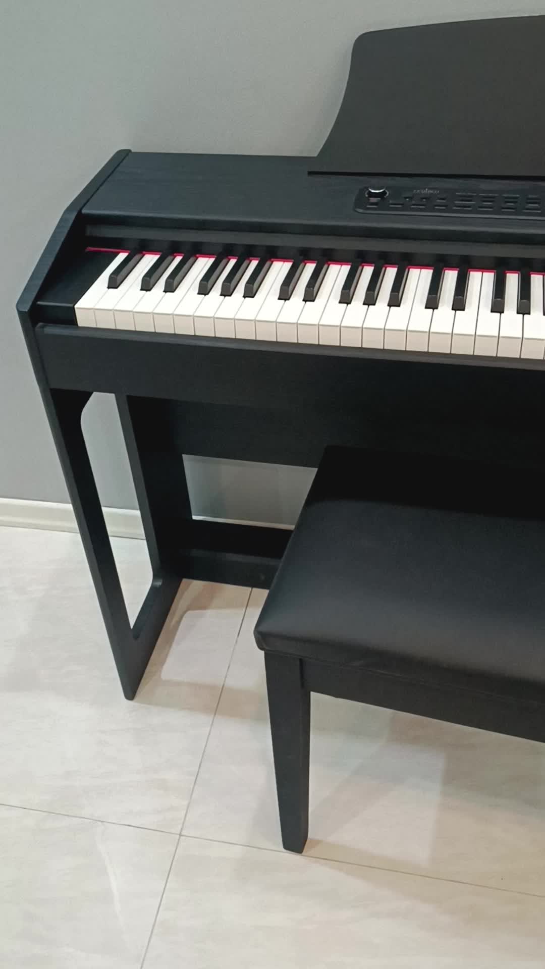 فروش پیانو دیجیتال برند feurich|پیانو، کیبورد، آکاردئون|فردیس, فردیس|دیوار
