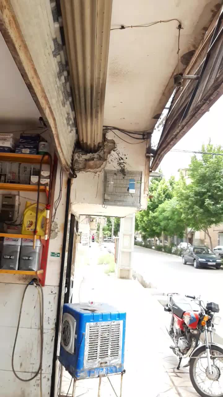 سهره|پرنده|تهران, خلیج فارس|دیوار