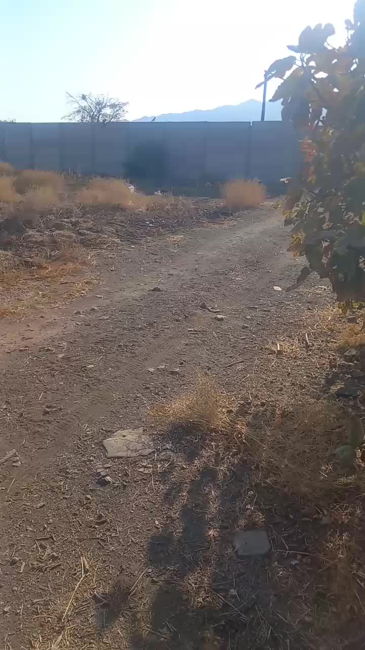 زمین باغی۳۰۰۰متردرروستای اندیس|فروش دفتر صنعتی، کشاورزی، تجاری|قاهان, |دیوار