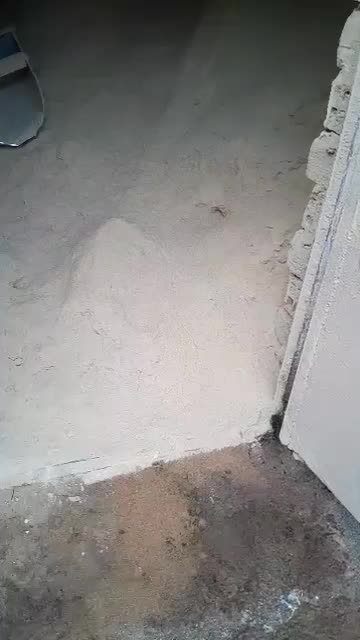 سبوس نرم ویسیان مخصوص دام|لوازم جانبی حیوانات|اندیمشک, |دیوار