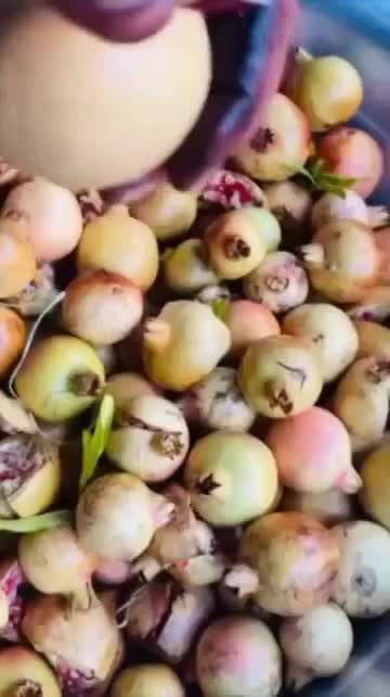 انار، ترشی و رب انار، دورک|خوردنی و آشامیدنی|ناغان, |دیوار