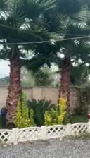 اجاره ویلا تمیز شبانه روزانه نشتارود|اجارهٔ کوتاهمدت ویلا و باغ|نشتارود, |دیوار