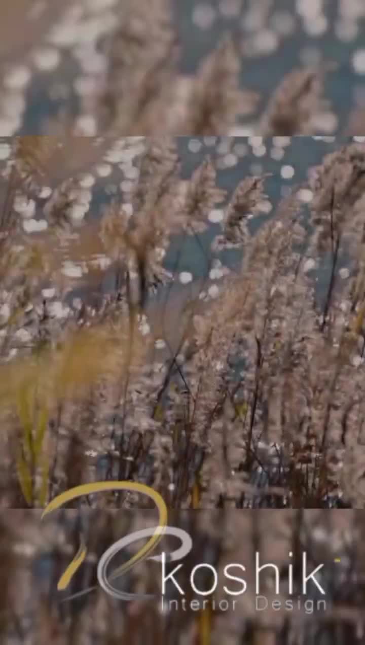 فروش کاغذ دیواری با نقد و چک تمام شده متری ۲۳۰|مصالح و تجهیزات ساختمان|اصفهان, تخت فولاد|دیوار