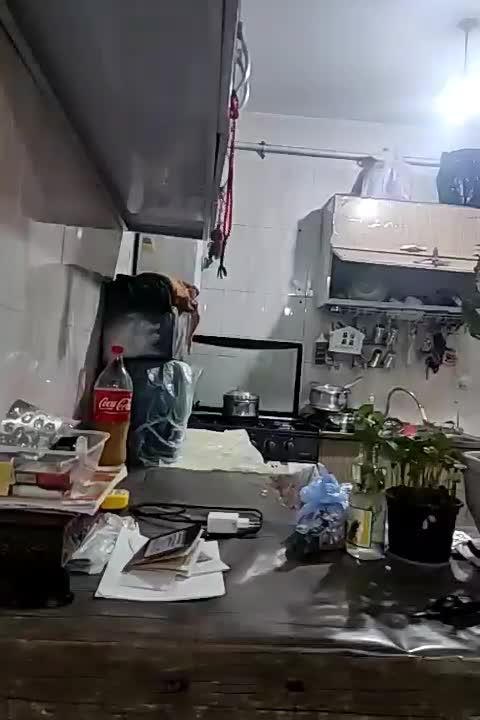 اتاق جهت کرایه به یک یادومحصل خانم یا دانشجو|اجارهٔ خانه و ویلا|بندر گناوه, |دیوار