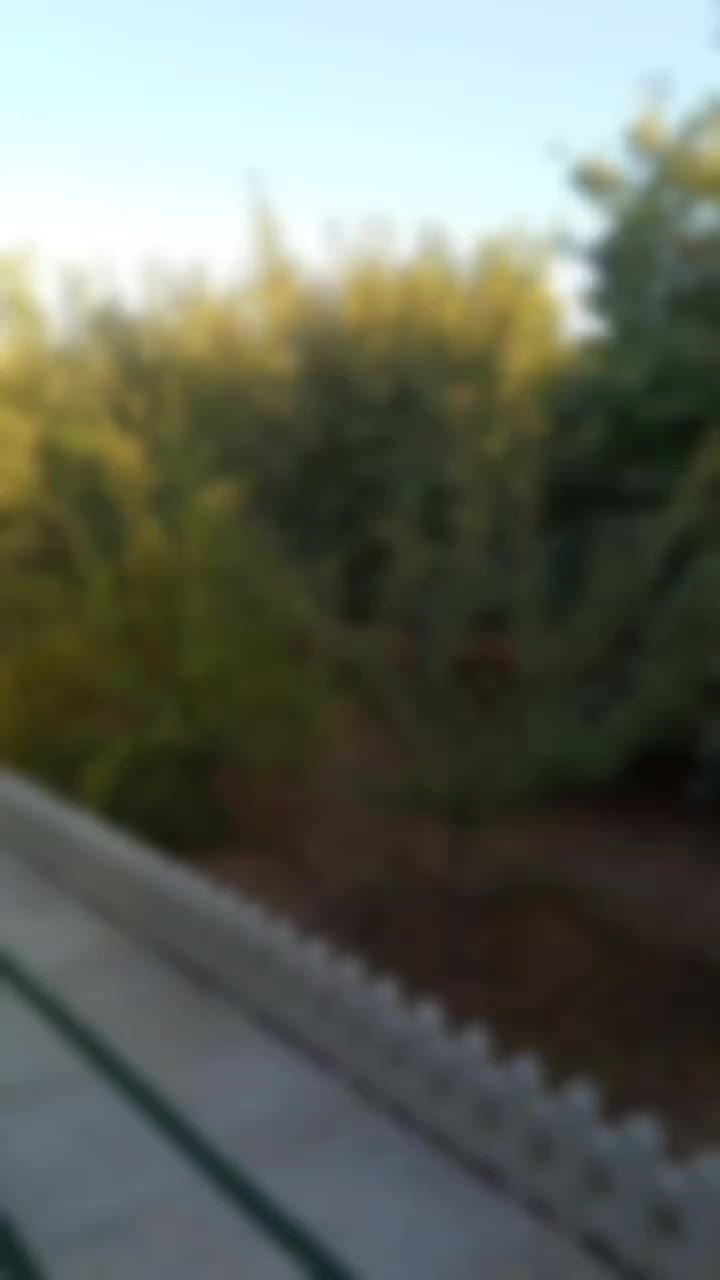 موتور تریل ۲۵۰|موتورسیکلت|سنندج, |دیوار