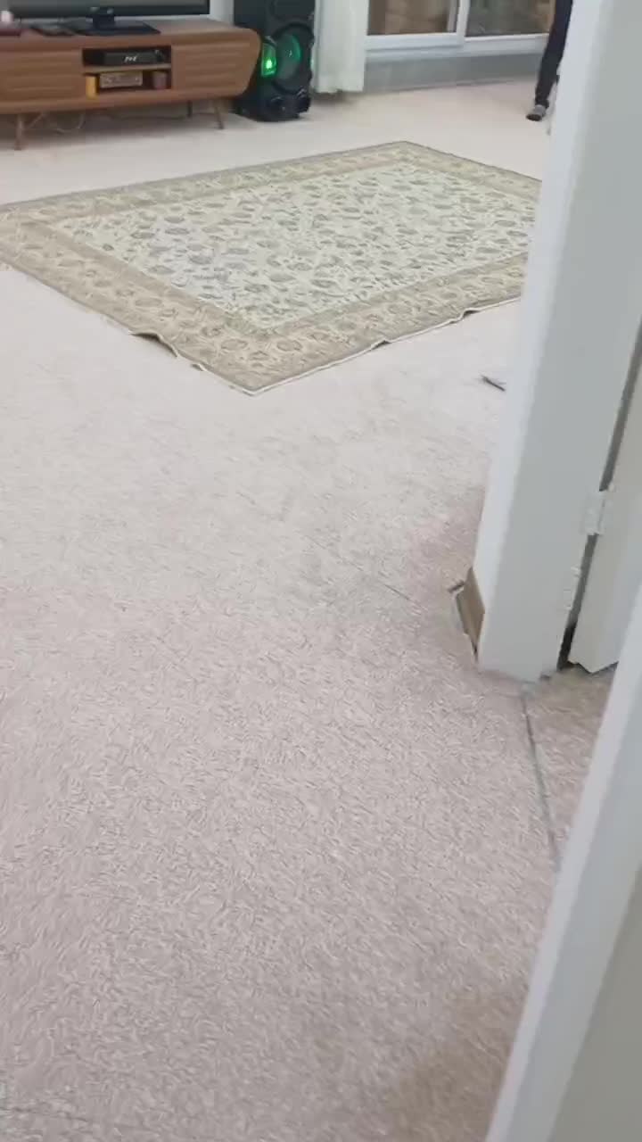 فروش ویلا فول امکانات لوکس ۱۳۵ متری در پاقلعه|فروش خانه و ویلا|رامیان, |دیوار