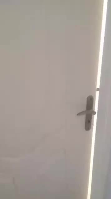 ناهارخوران، کارواش، بروجردی ۱۱۴ متری|فروش آپارتمان|گرگان, |دیوار