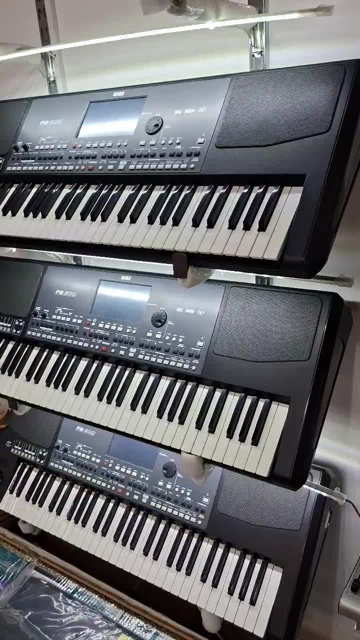 ارگ قسطی|پیانو، کیبورد، آکاردئون|سقز, |دیوار