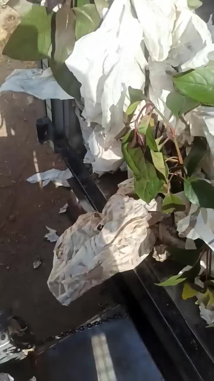 حمل بار و اثاثیه منزل به تمام نقاط کشور|خدمات حمل و نقل|بیرجند, |دیوار