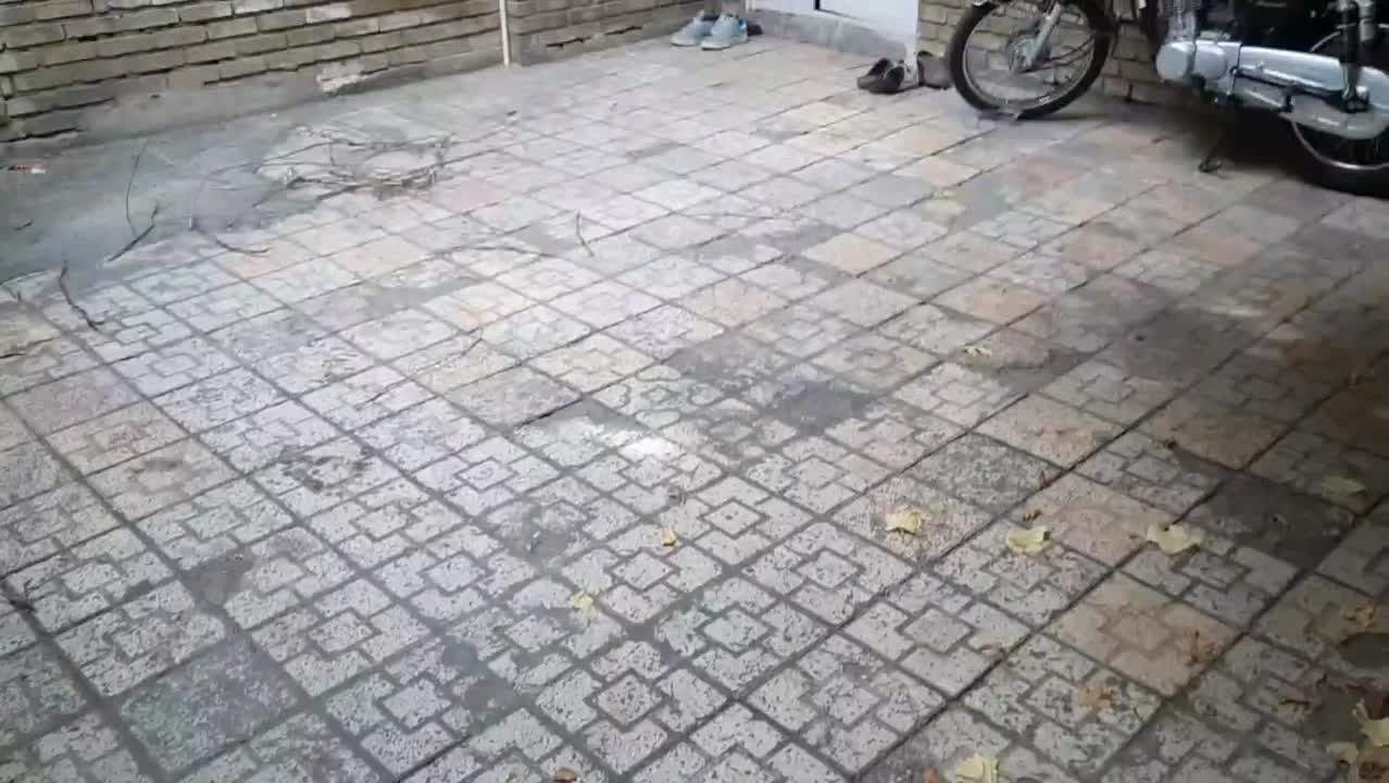 اجاره آپارتمان ۳۵ متری ۲ خوابه همکف در شبیری|اجارهٔ آپارتمان|تهران, جی|دیوار
