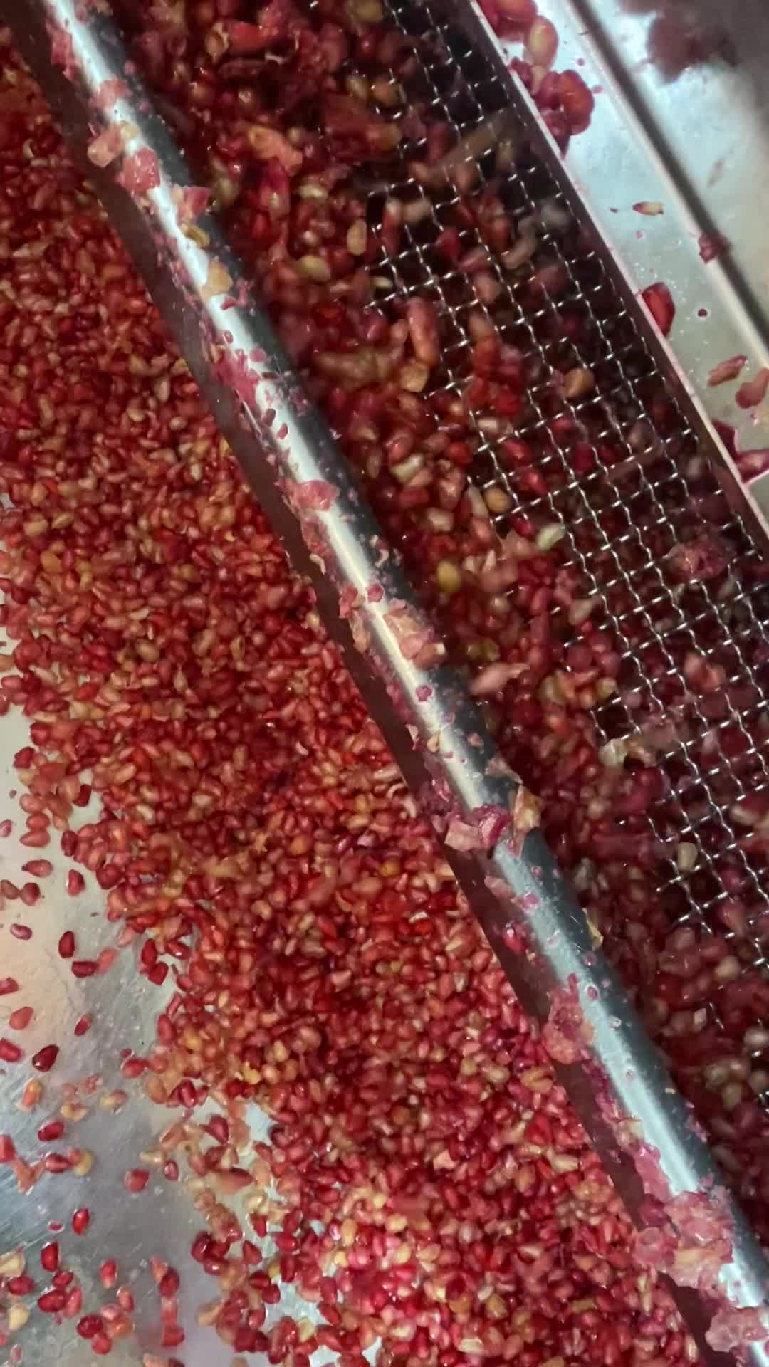 دانه کردن انار با دستگاه مدرن وبازدهی بالا|خوردنی و آشامیدنی|یزد, |دیوار