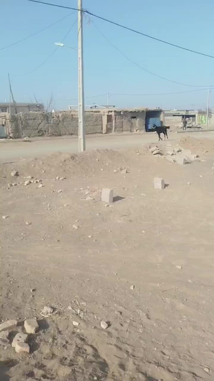 اسب|اسب و تجهیزات اسب‌سواری|سبزوار, کهنه آب|دیوار