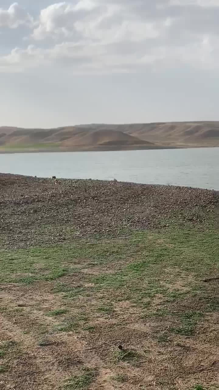 پژو 405|خودرو سواری و وانت|میانه, |دیوار