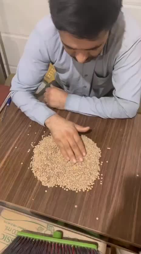 عدس روس|خوردنی و آشامیدنی|تهران, اتابک|دیوار