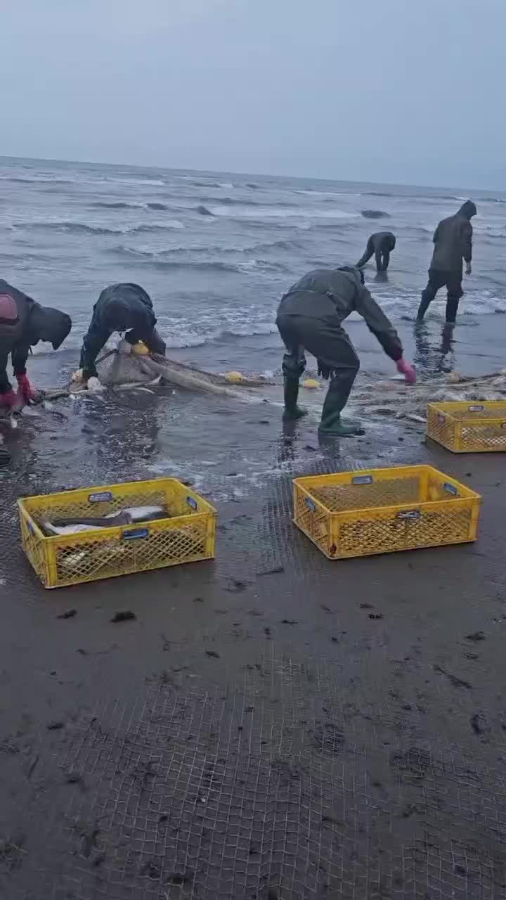 نیاز به همکار|استخدام صنعتی، فنی، مهندسی|چابکسر, |دیوار