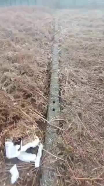 ۲۵۸ متر سندتکبرگ کاربری مسکونی مجوز ۵طبقه|فروش زمین و ملک کلنگی|واجارگاه, |دیوار