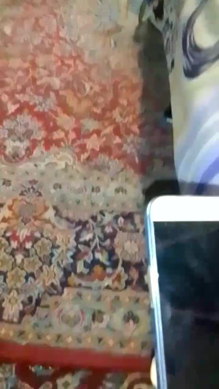 هواوی شات ایکس|موبایل|تهران, جمهوری|دیوار