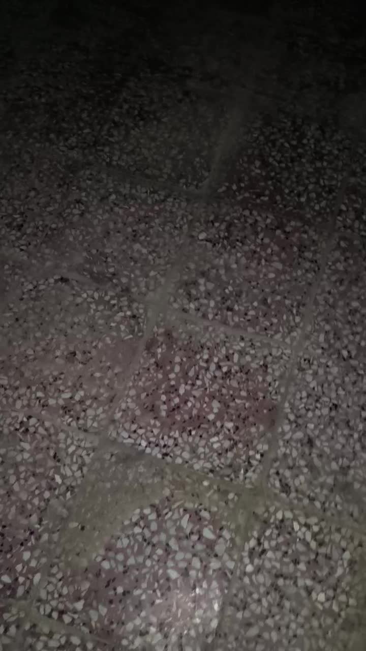 بنلی ۳۰۰مدل ۴۰۲ ان اس،آر اس،اپاچی،سی اف|موتورسیکلت|گنبد کاووس, |دیوار