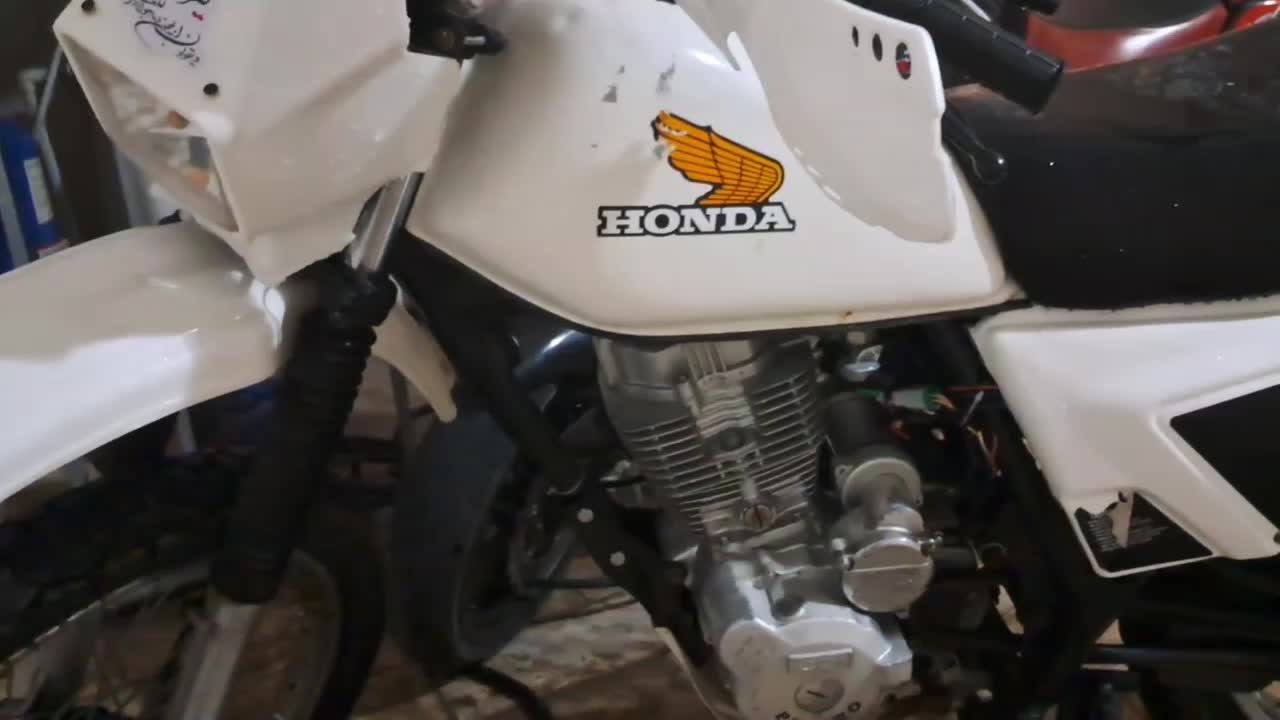 موتورتریل ۱۵۰پیشرو گلد|موتورسیکلت|اشتهارد, |دیوار