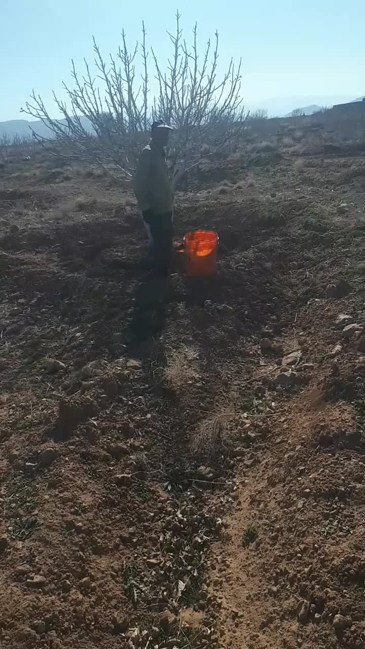 خدمات باغبانی سم پاشی هرس پاکنی پیوند( نکویی )|خدمات باغبانی و درختکاری|شیراز, غدیر جنوبی|دیوار