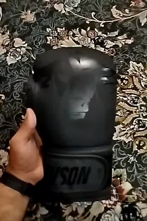 دستکش بوکس|تجهیزات ورزشی|ساری, |دیوار