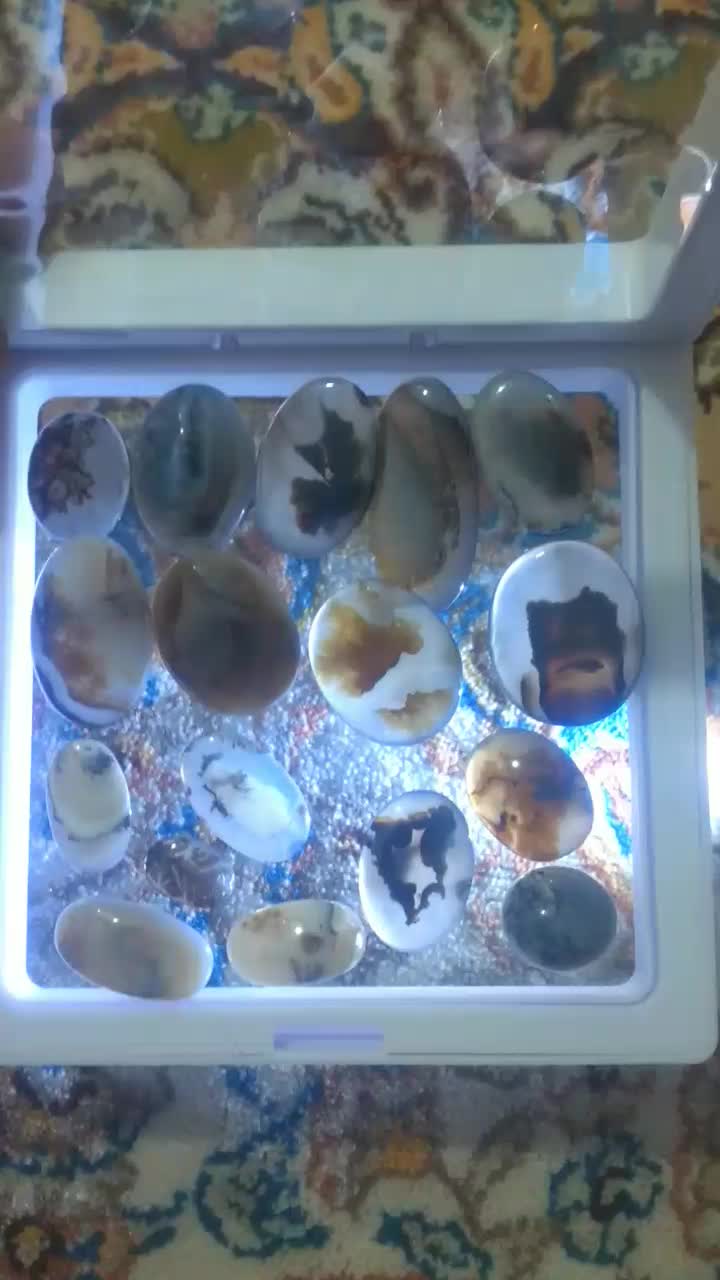 شجر|جواهرات|ری, دولت‌آباد|دیوار