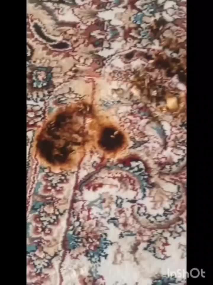 رفوگری وتعمیرات فرش دستی وماشینی تخصص در ماشینی|خدمات پیشه و مهارت|مشهد, فلسطین|دیوار