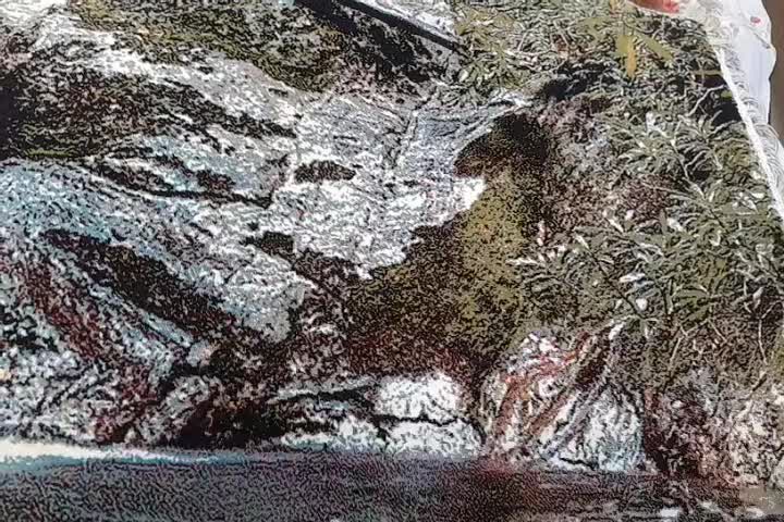 تابلو فرش نقش آبشار|تابلو فرش|کرج, پیشاهنگی|دیوار