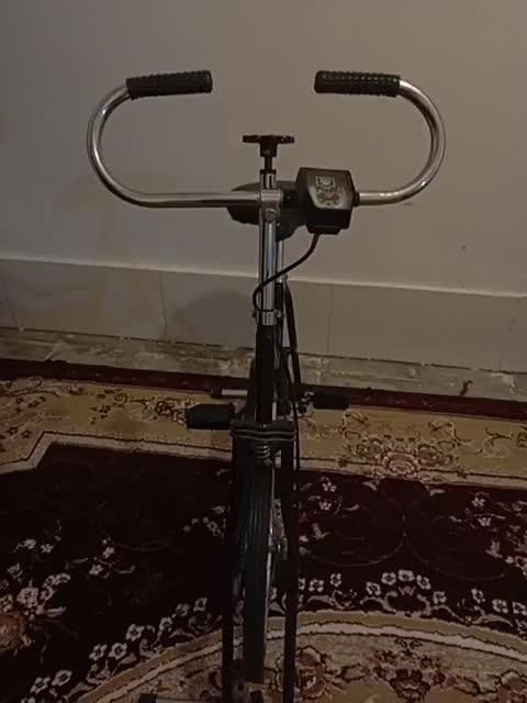 دوچرخه ایستاده|تجهیزات ورزشی|داراب, |دیوار