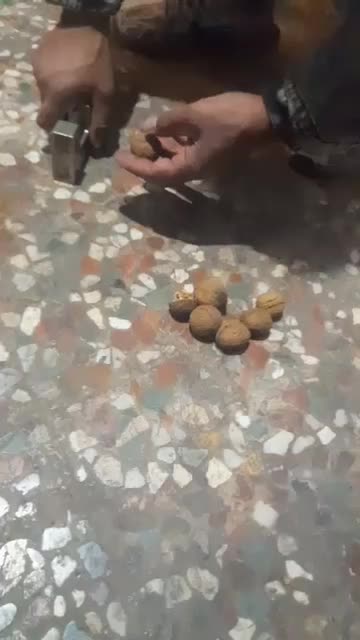 گردو کاغذی اعلا ایرانی درجه یک به صورت عمده و خرده|عمده‌فروشی|خمینی‌شهر, |دیوار