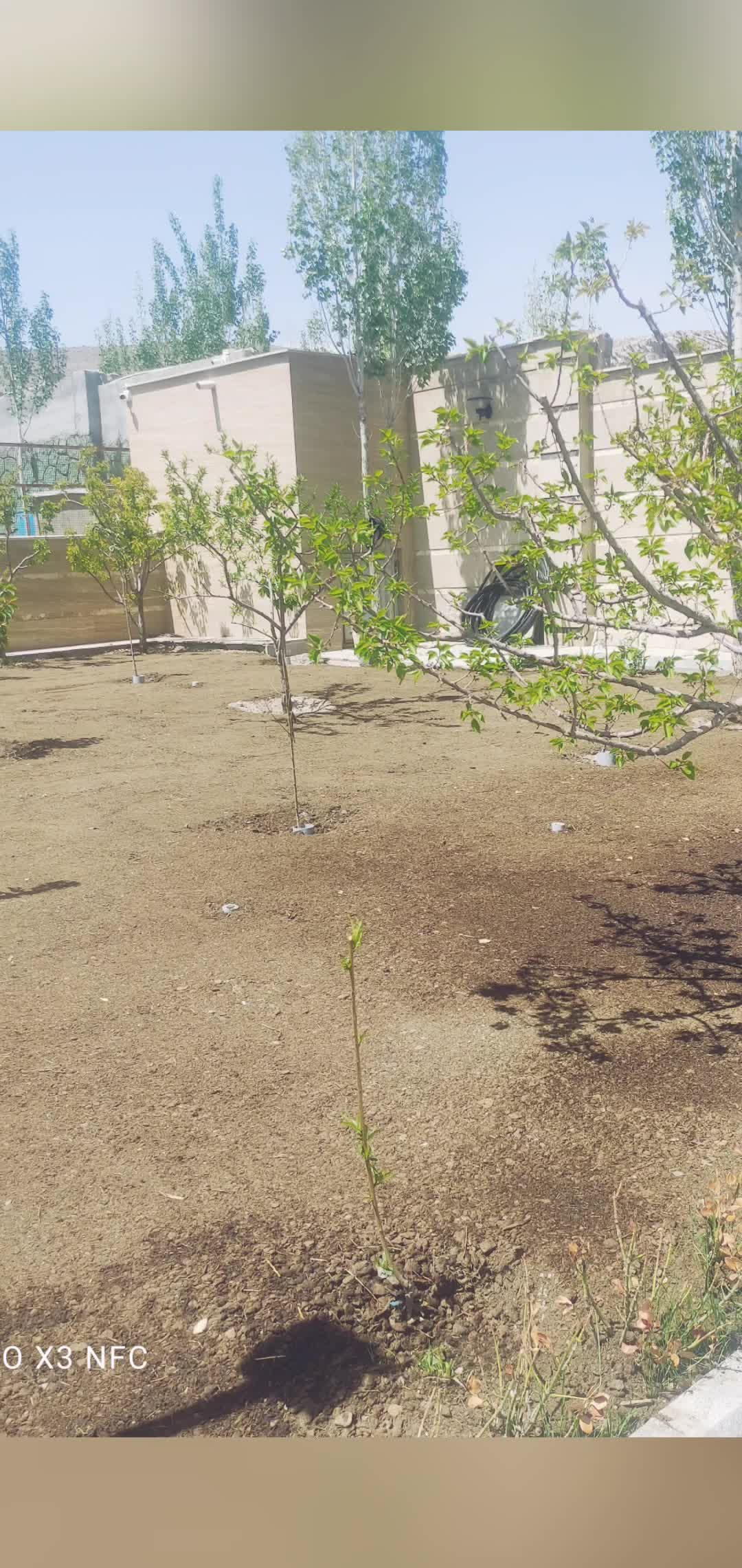 خدمات دانش بنیان کشاورزی توسط دکتری تخصصی کشاورزی|خدمات باغبانی و درختکاری|تبریز, |دیوار