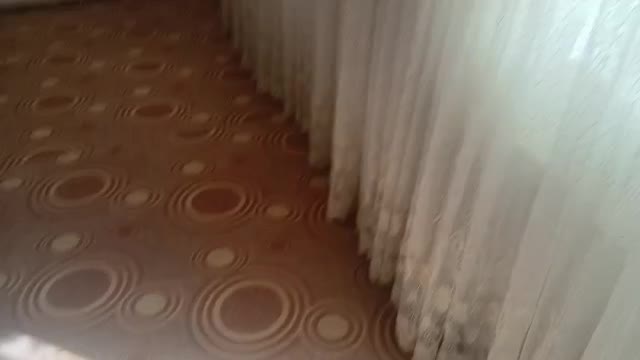 کارشناسان پاسداران۴(املاک اندیشه)|اجارهٔ آپارتمان|اردبیل, |دیوار