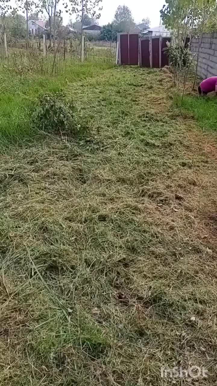 خدمات چمن زنی علف زنی علف تراشی حاشیه زنی|خدمات باغبانی و درختکاری|رشت, دیلمان|دیوار