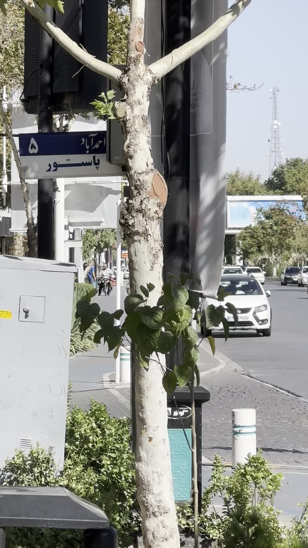 فرشگاه موبایل جی ال استور نقد و اقساط|موبایل|مشهد, بهشت|دیوار