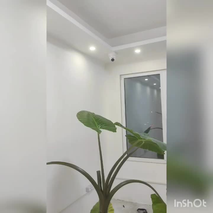 نصب انواع دوربین های مداربسته|خدمات پیشه و مهارت|بندرعباس, |دیوار