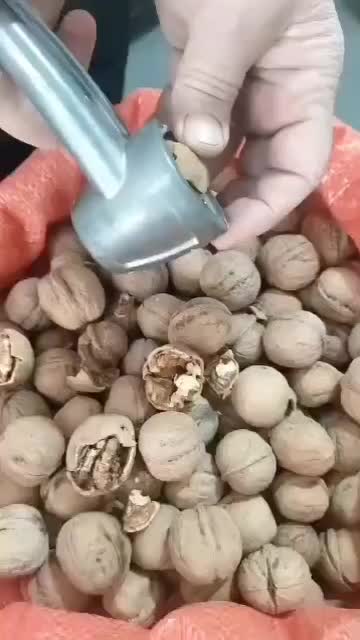 فروش گردو درجه ۱|خوردنی و آشامیدنی|زارچ, |دیوار