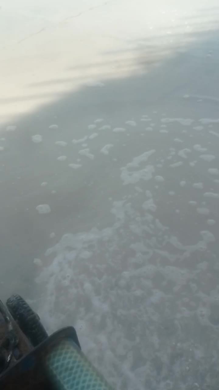 کف سابی کفسابی کف ساب و سنگ ساب|خدمات نظافت|بوشهر, |دیوار