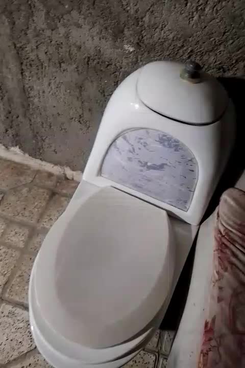 توالت فرنگی|لوازم سرویس بهداشتی|مشهد, امیرآباد|دیوار