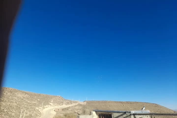 کبوتر طوقی|پرنده|نیر (اردبیل), |دیوار