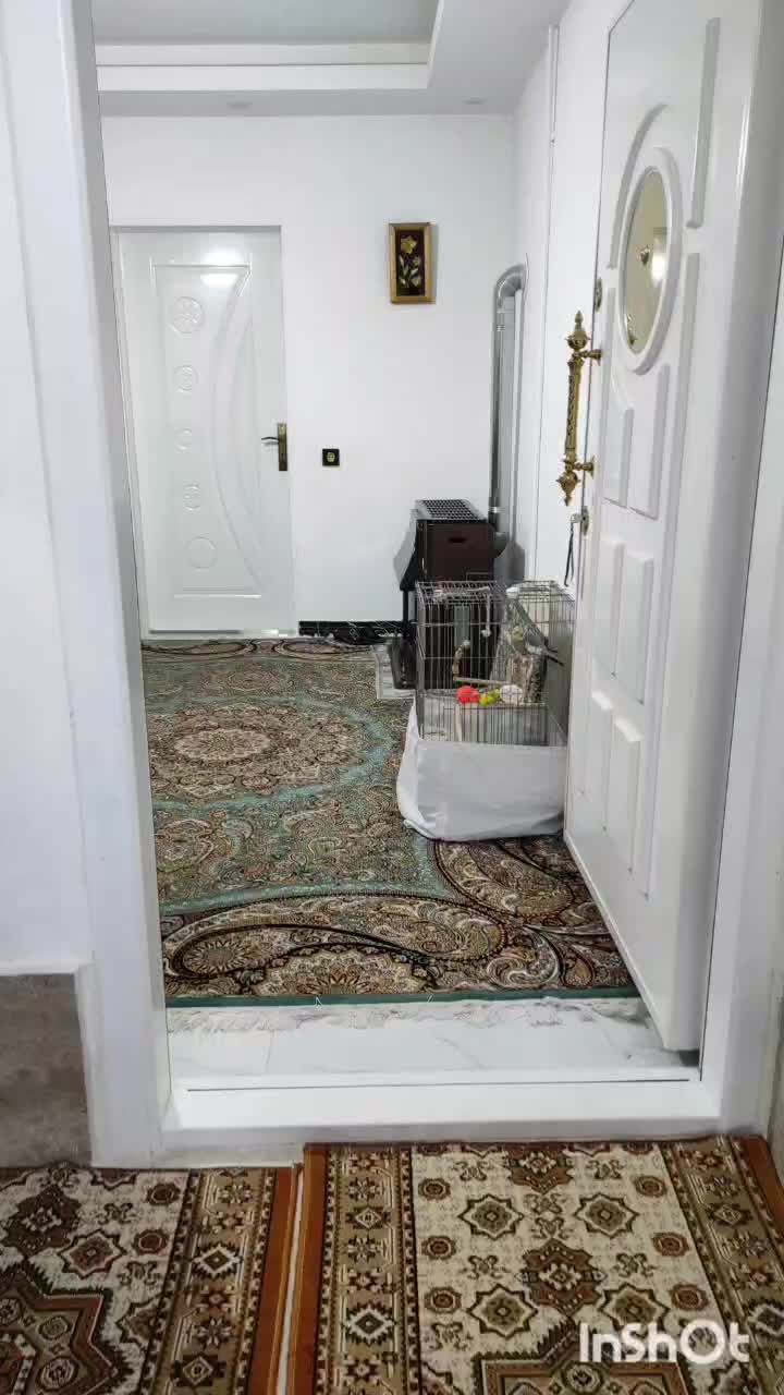 خانه ویلایی 120 متری|فروش خانه و ویلا|مشکین‌دشت, |دیوار