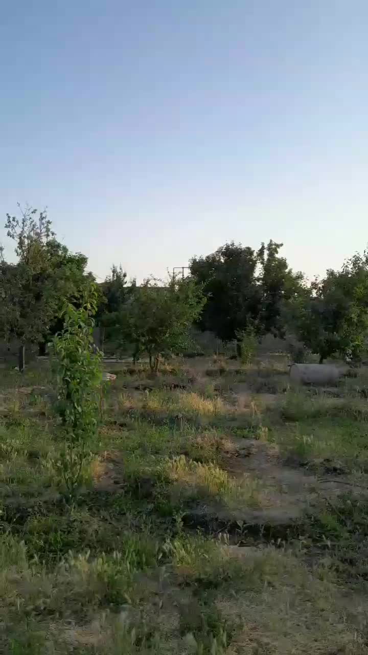 باغ دور دیوار، قبل از پل هوایی دولت آباد، سنگونی|فروش زمین و ملک کلنگی|نیشابور, مازول|دیوار
