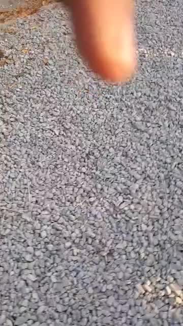 سگ نگهبان سرابی|سگ|باقرشهر, |دیوار