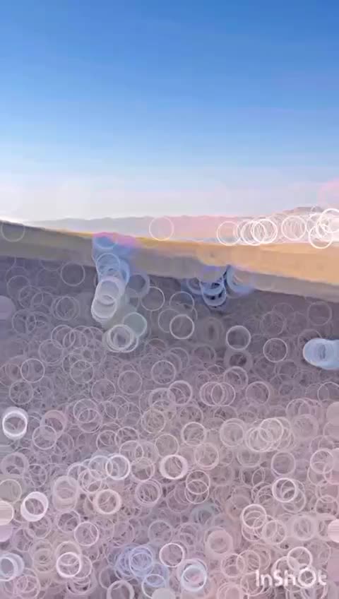 اسب پنچ نیشان کورد اصیل شیشدان|اسب و تجهیزات اسبسواری|ایلام, |دیوار